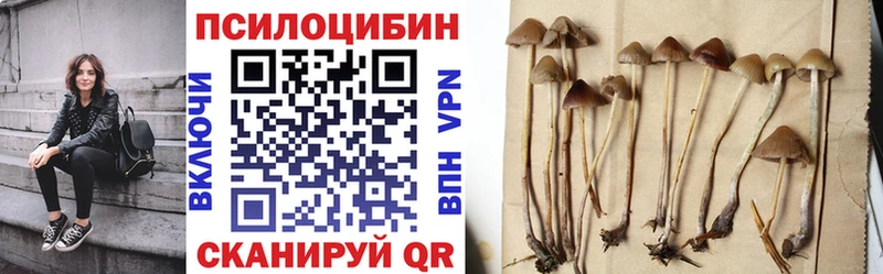 Псилоцибиновые грибы мицелий  Купить  Емва 